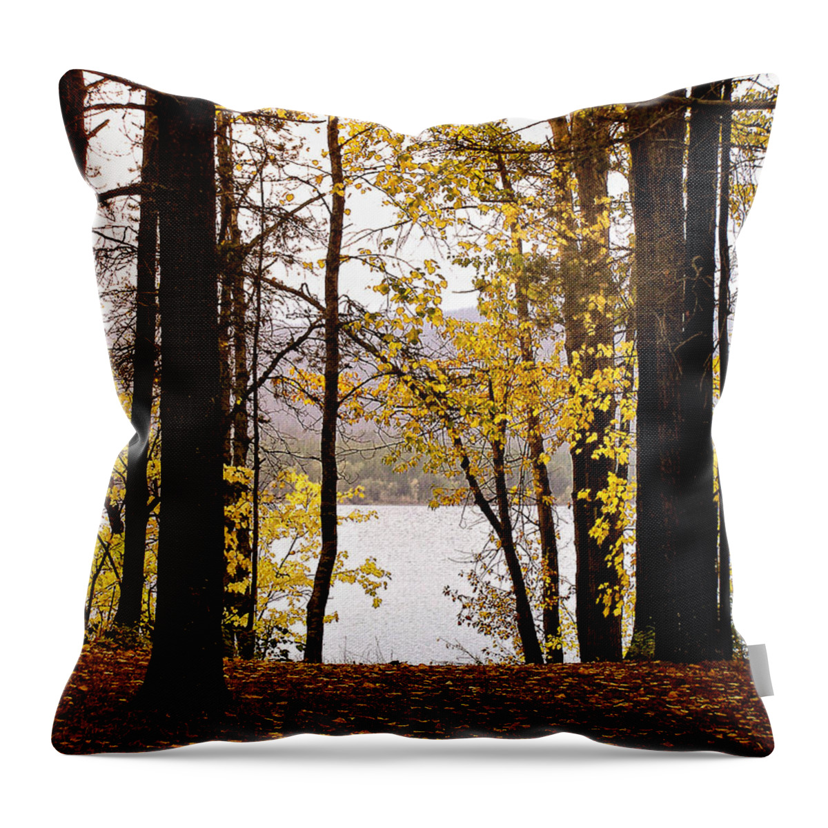 Glacier Park Throw Pillow featuring the photograph View of Lake McDonald by Susan Kinney