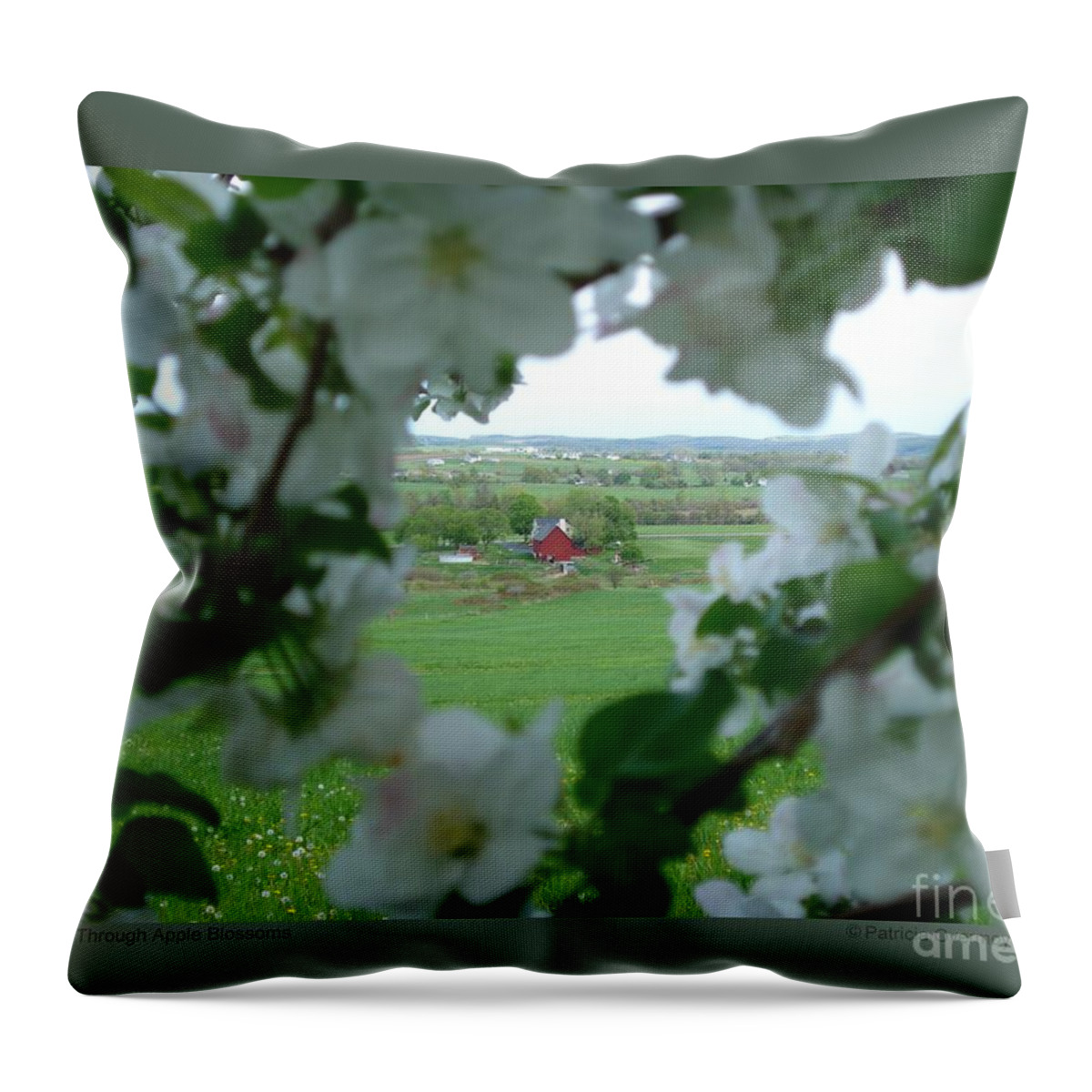 Apple Blossoms Throw Pillow featuring the photograph View Through Apple Blossoms by Patricia Overmoyer