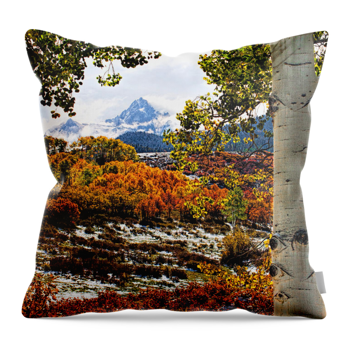 Autum Throw Pillow featuring the photograph Viewed Through the Aspen Leaves by Rick Wicker