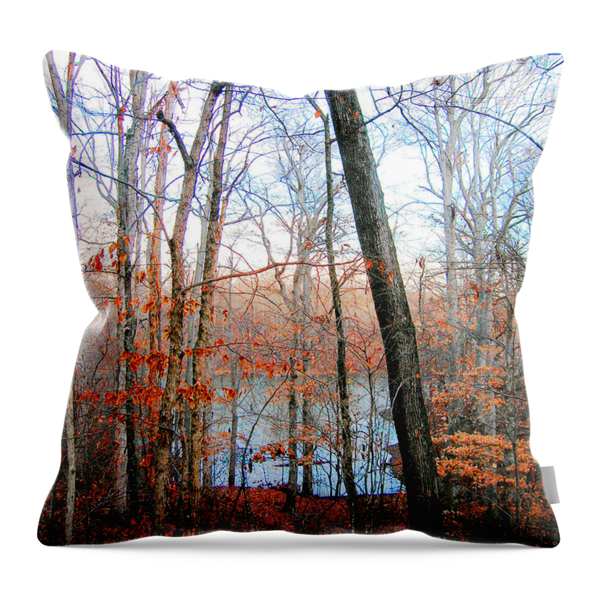 Nature Throw Pillow featuring the digital art Village Creek State Cabins View by Lizi Beard-Ward