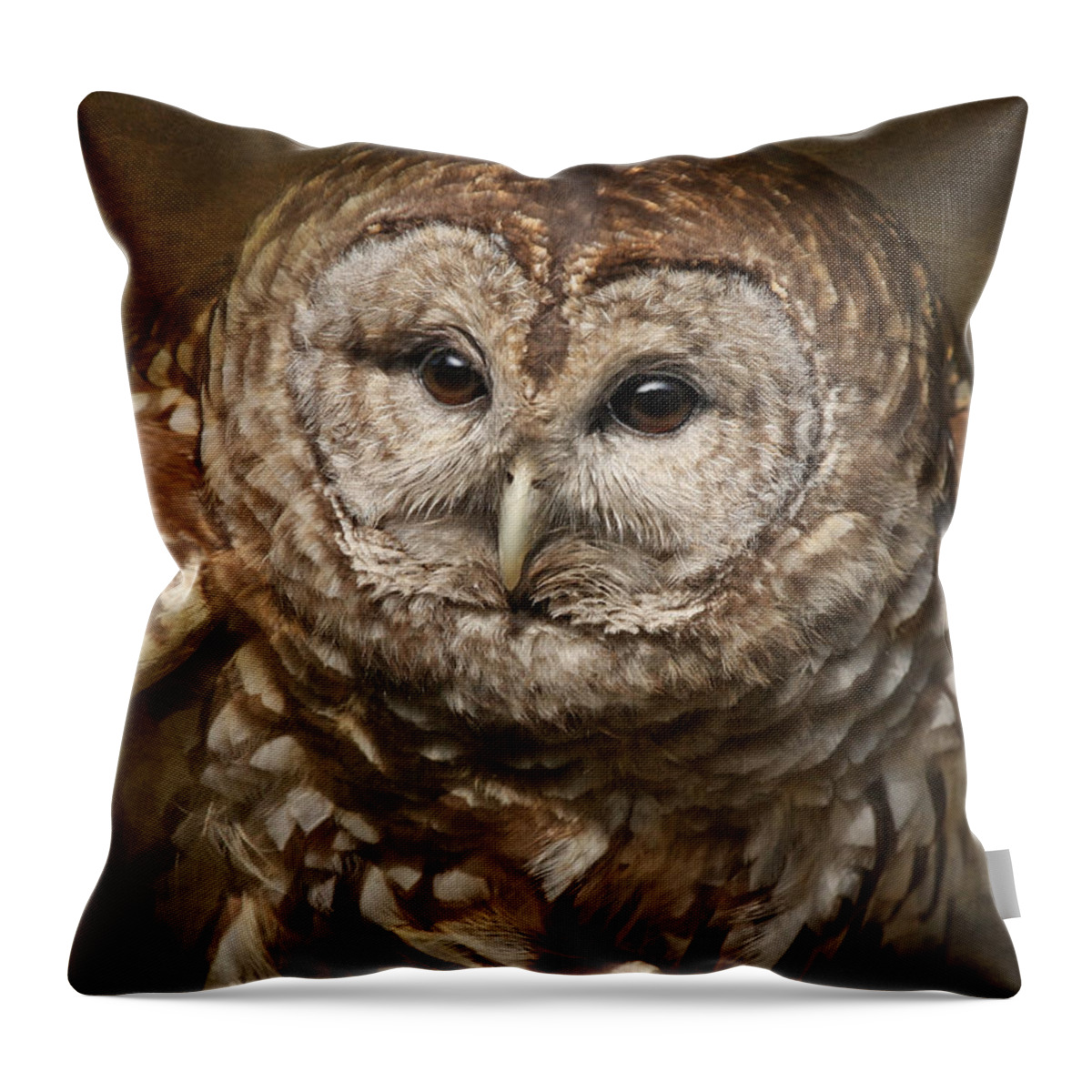 Owls Throw Pillow featuring the photograph Vilma Up Close by Pat Abbott