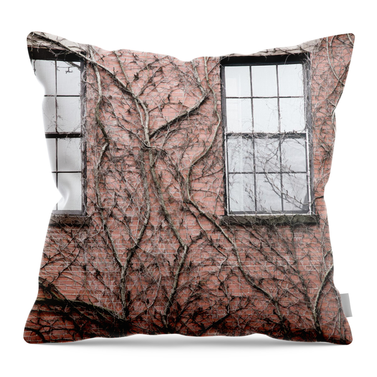 Boston Throw Pillow featuring the photograph Vines and Brick by Natalie Rotman Cote