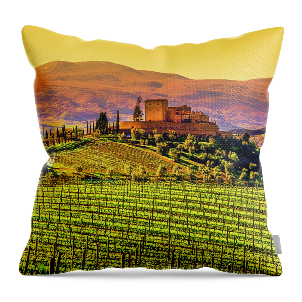 Scenics Throw Pillow featuring the photograph Vineyard In Tuscany by Deimagine