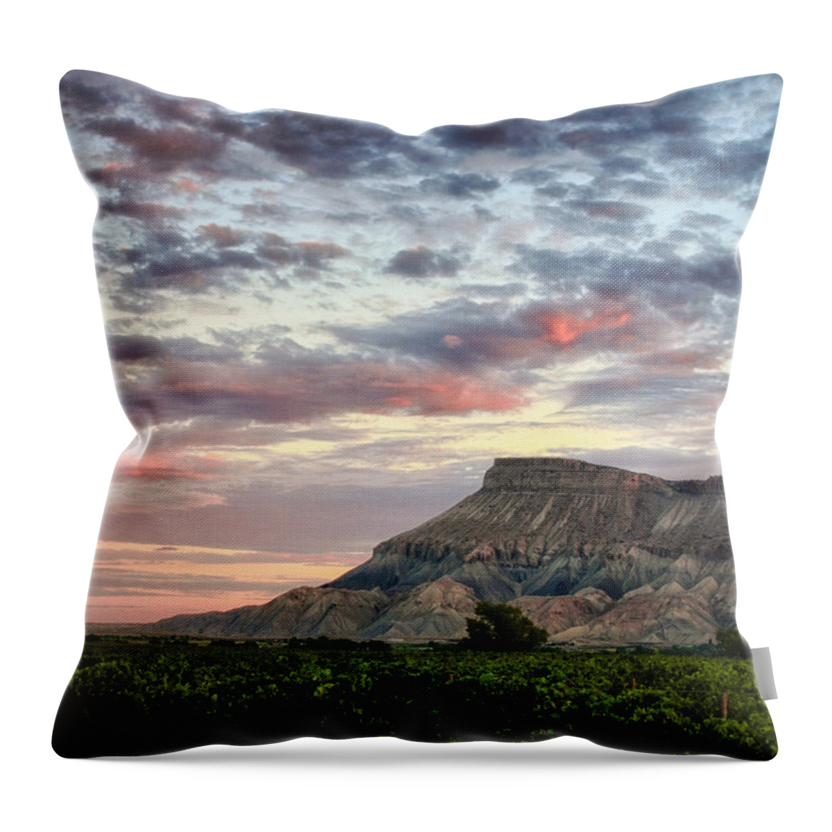 Colorado Throw Pillow featuring the photograph Vineyards and Mt Garfield by Ronda Kimbrow