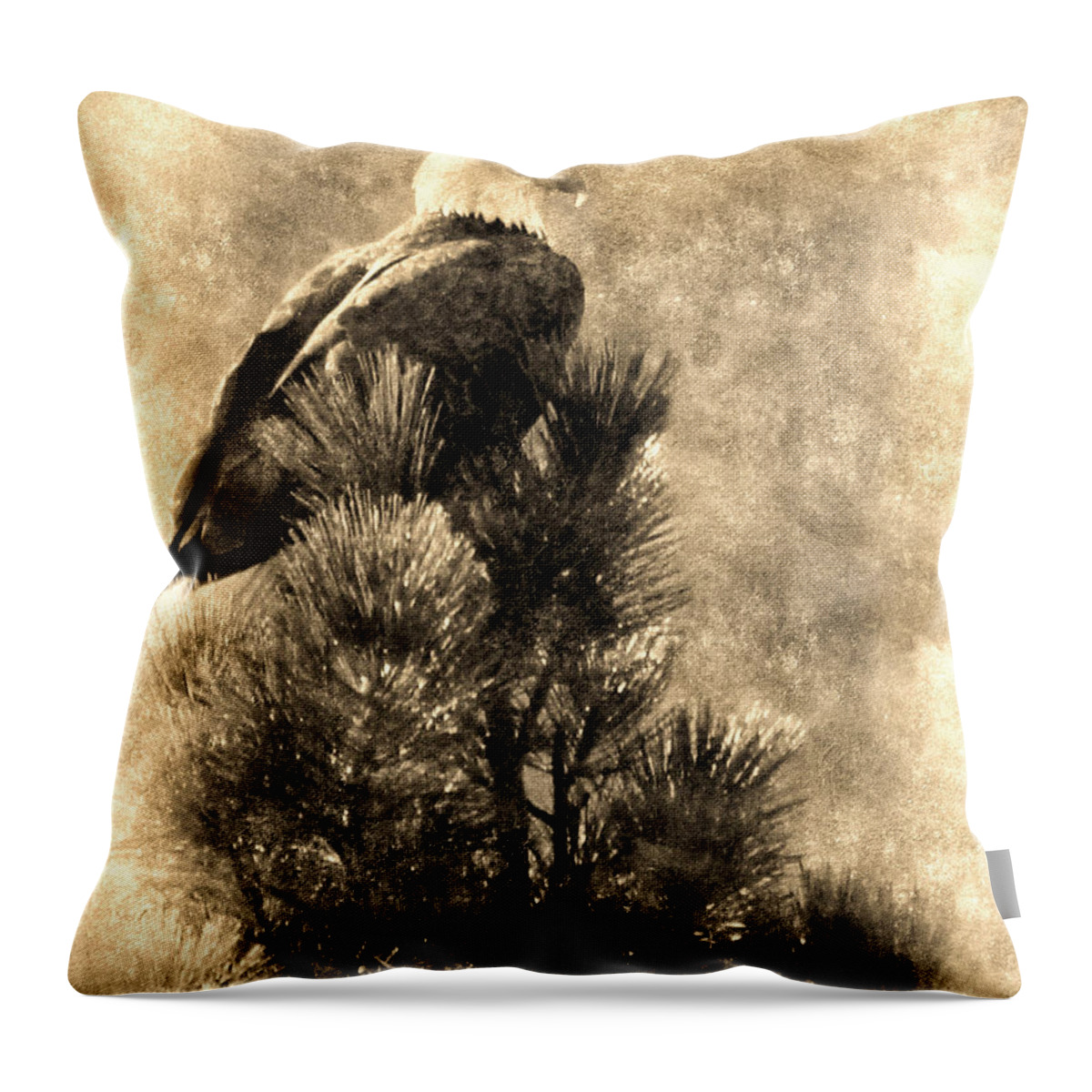 Bald Eagle Throw Pillow featuring the photograph Vintage Bald Eagle by Priscilla Burgers