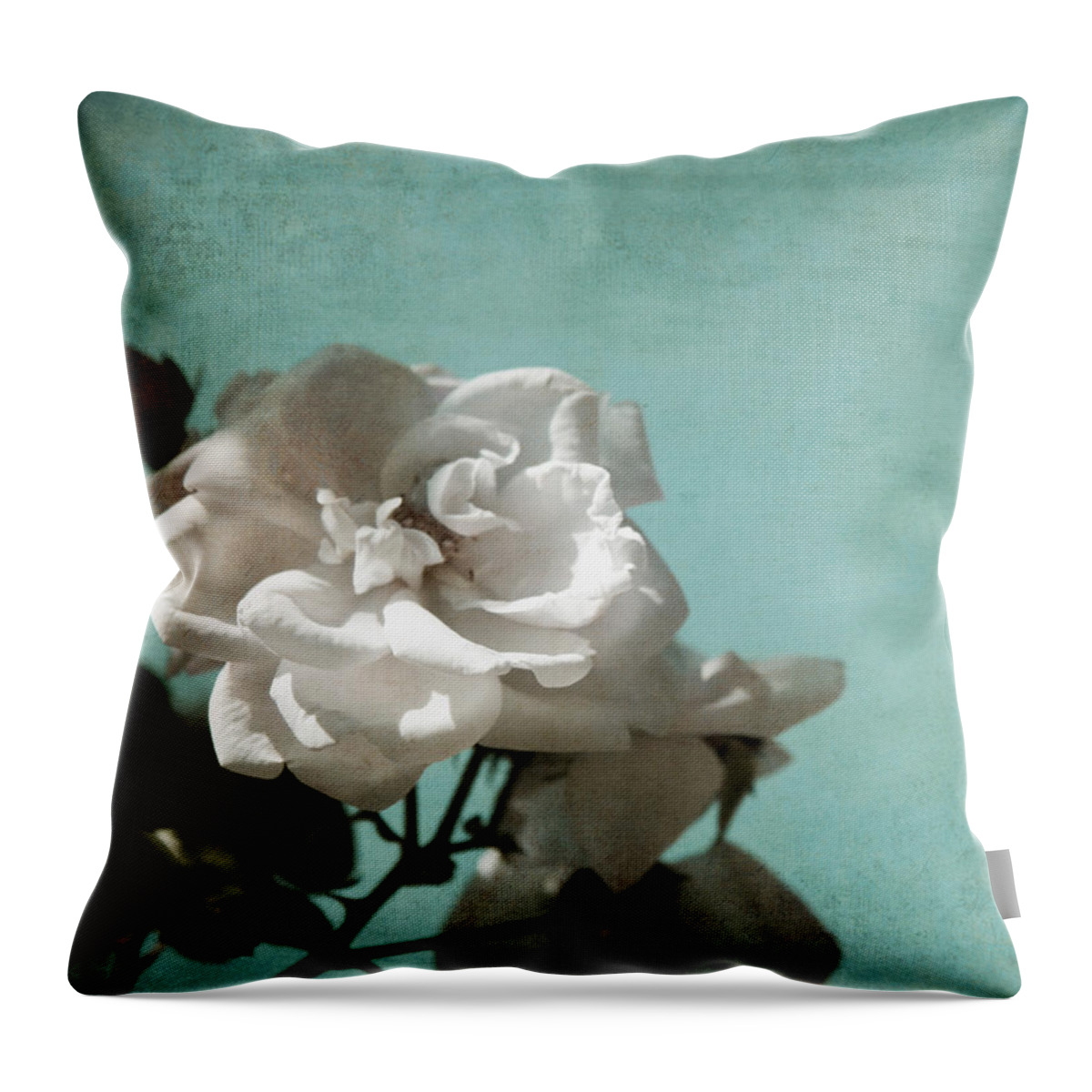 Floral Throw Pillow featuring the photograph Vintage Inspired White Roses on Aqua Blue Green - by Brooke T Ryan