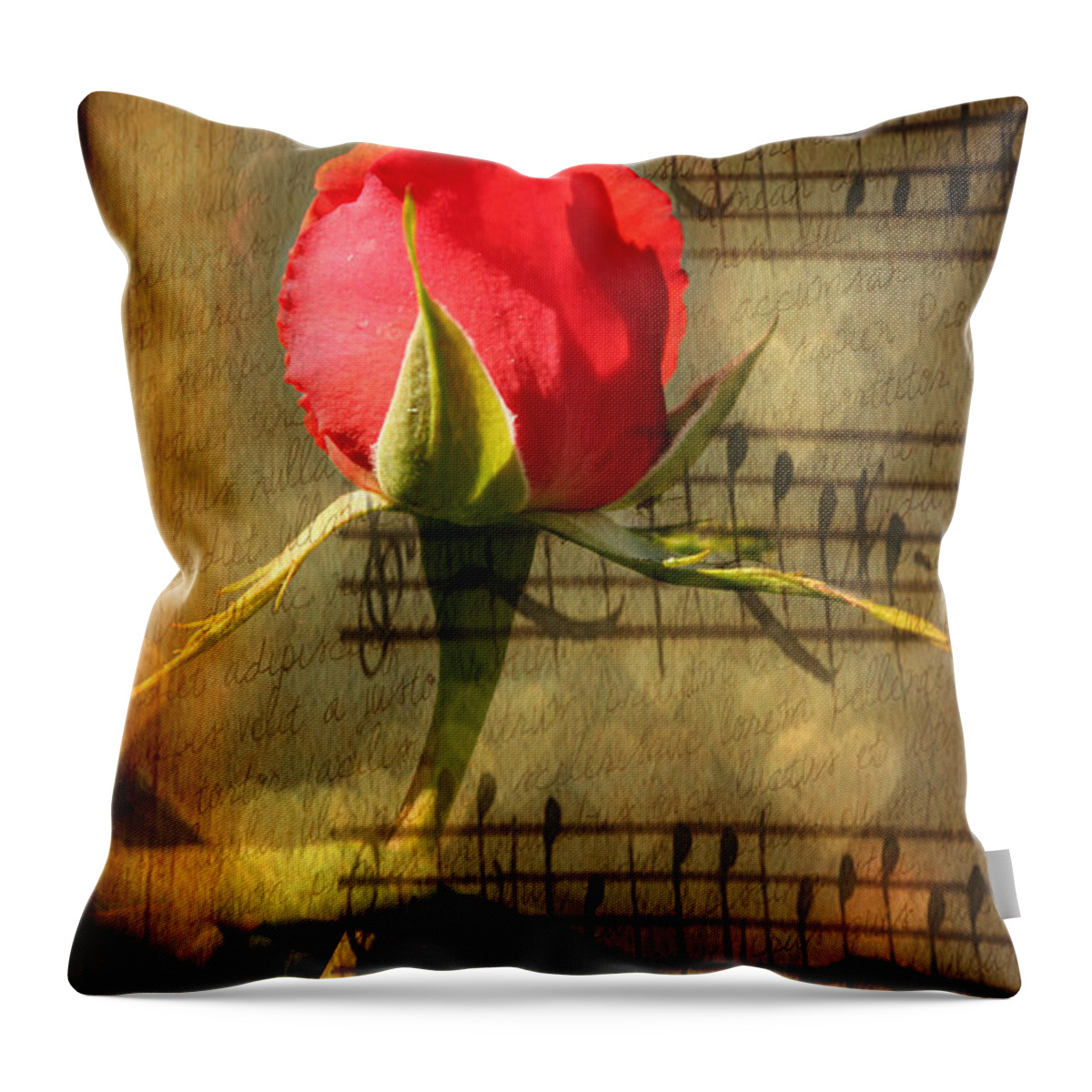 Rose Throw Pillow featuring the photograph Vintage Love Story Symphony by Judy Palkimas