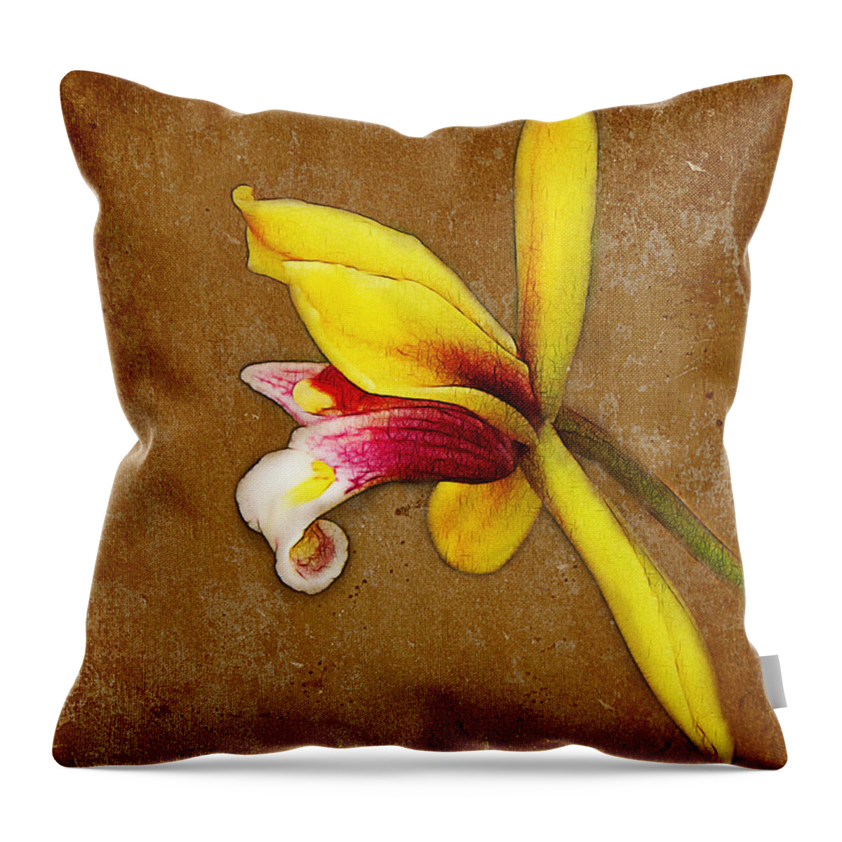Vintage Throw Pillow featuring the photograph Vintage Orchid by Judi Bagwell