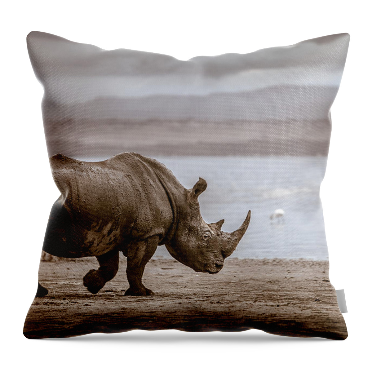 #faatoppicks Throw Pillow featuring the photograph Vintage Rhino On The Shore by Mike Gaudaur