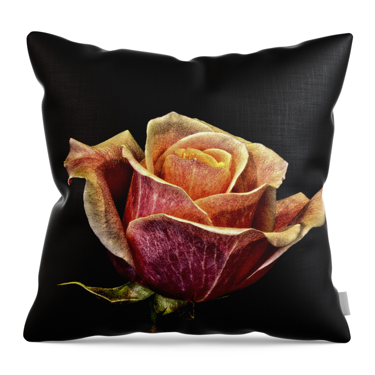 Vintage Rose Throw Pillow featuring the photograph Vintage Rose by Mitch Shindelbower
