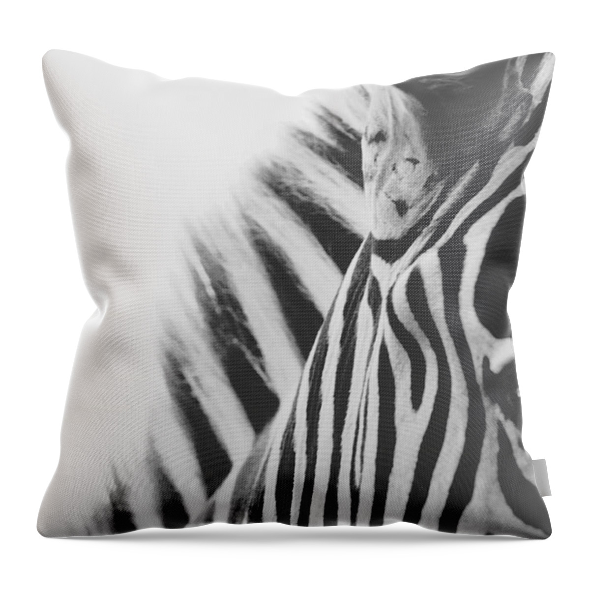 Black And White Throw Pillow featuring the photograph Visions by Carrie Ann Grippo-Pike