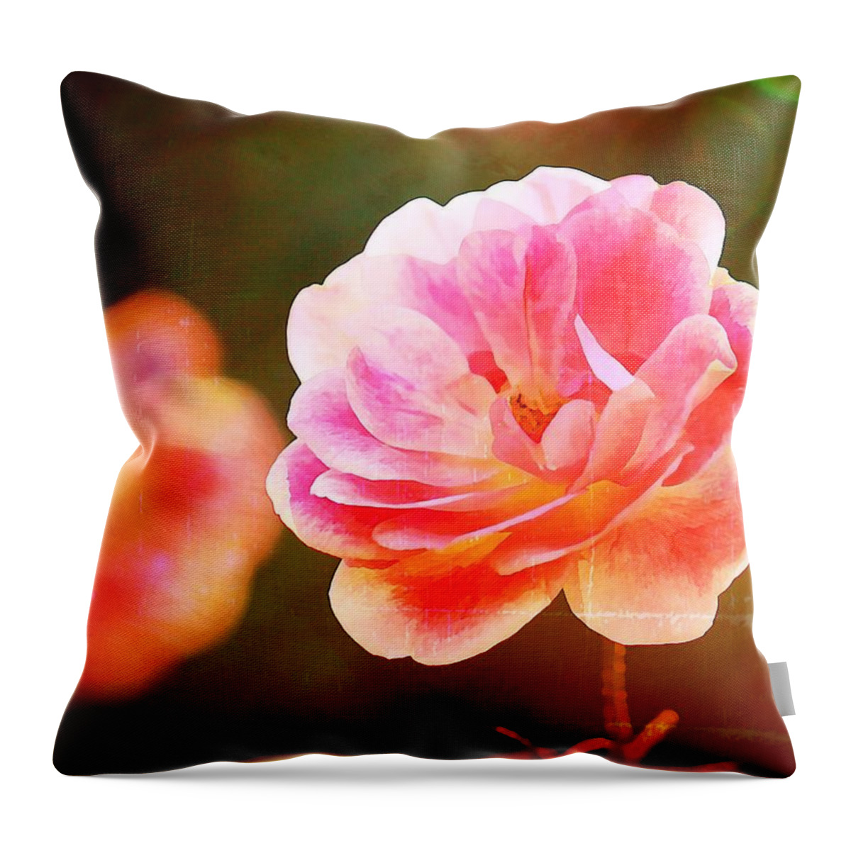Rose Throw Pillow featuring the photograph Visions of Spring by Jean Connor