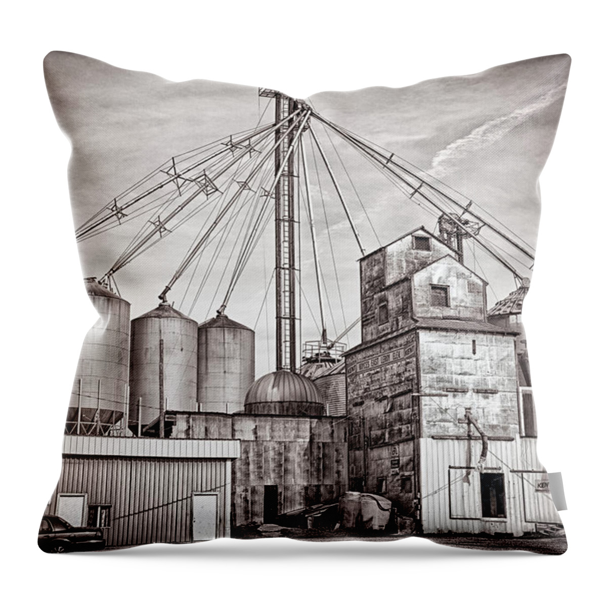 East Leroy Throw Pillow featuring the photograph Voyces Mill by Sennie Pierson