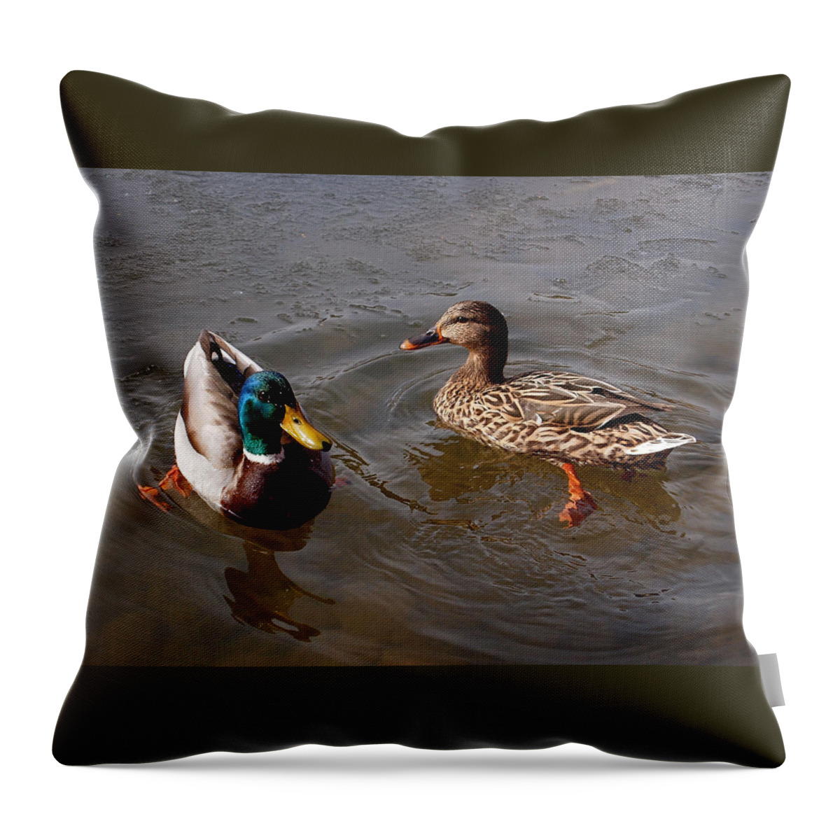 Duck Throw Pillow featuring the photograph Wading Ducks by Rona Black