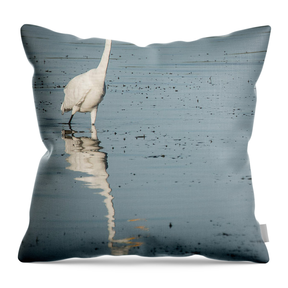 Englewood Throw Pillow featuring the photograph Wading for Fish by Joan Wallner