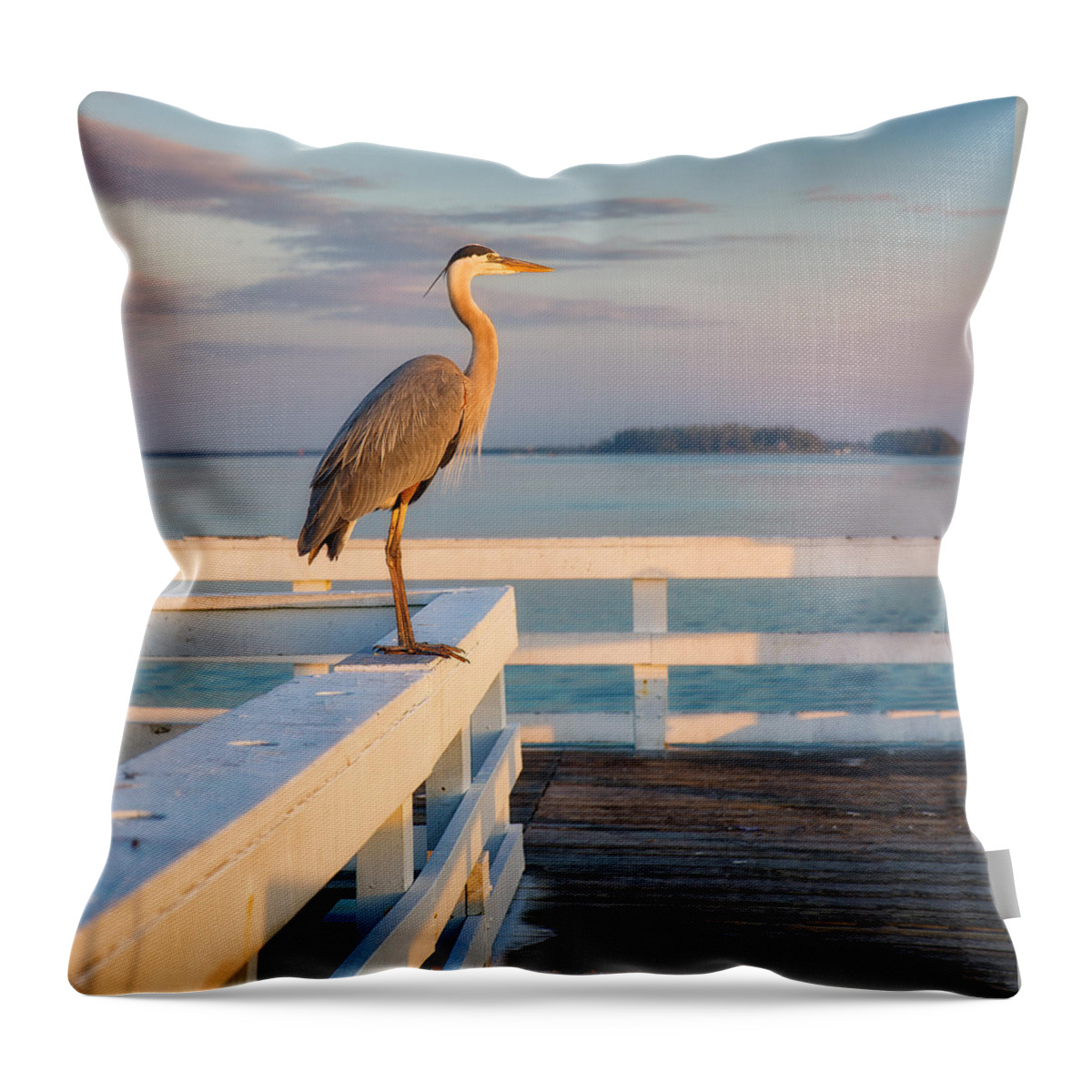 Heron Throw Pillow featuring the photograph Waiting for the Fishing Boats to Arrive by Darylann Leonard Photography