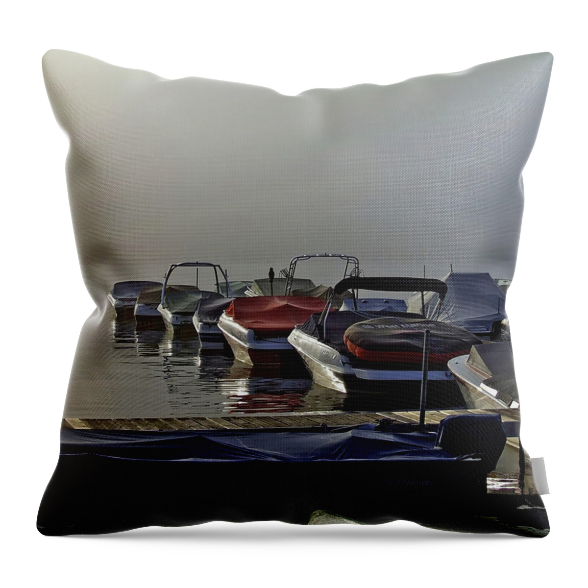 Summer Throw Pillow featuring the photograph Waiting for the Fog to Lift by Richard Gregurich