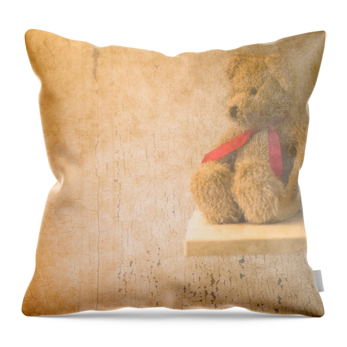 Teddy Bear Throw Pillow featuring the photograph Waiting by Jan Bickerton