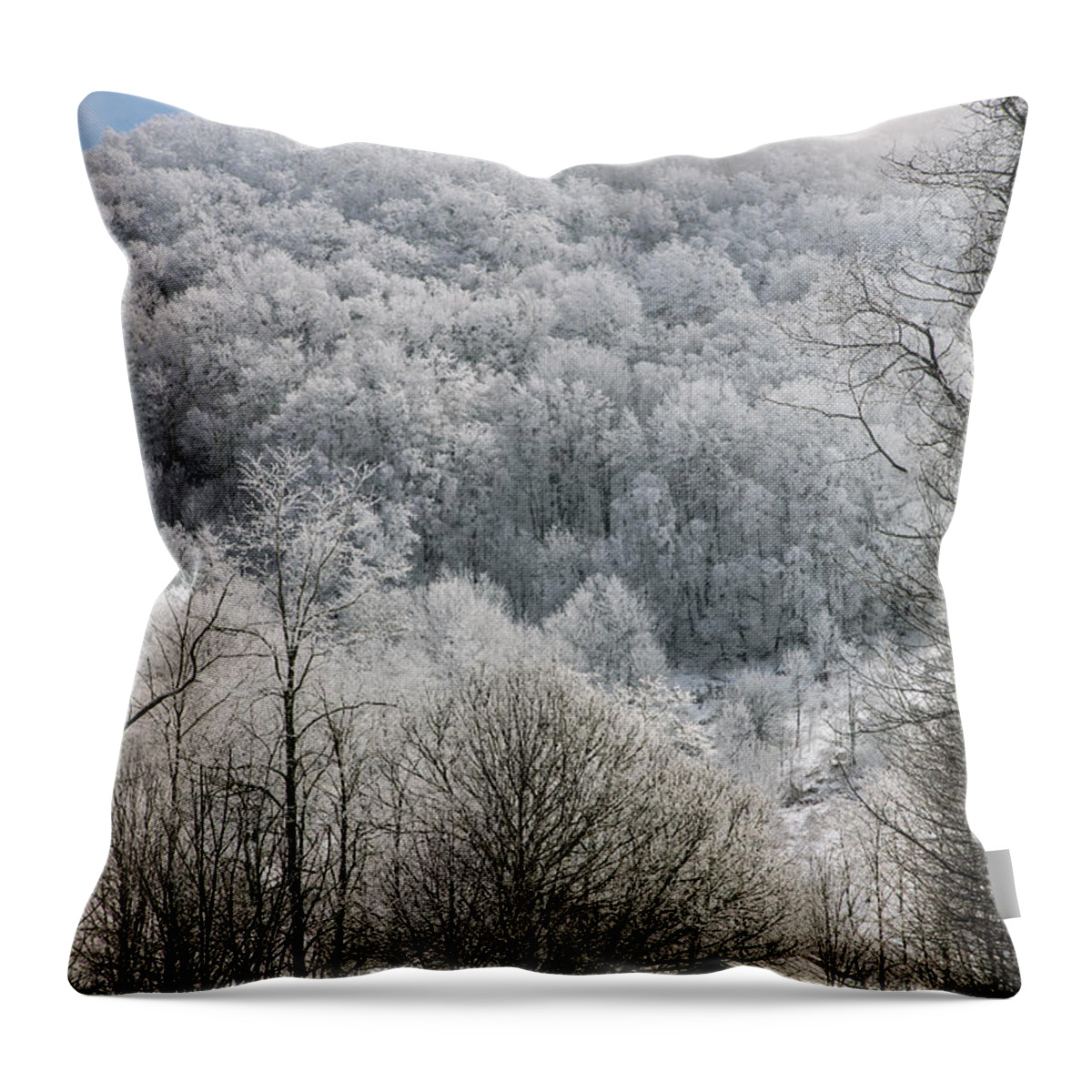 Snow Throw Pillow featuring the photograph Waiting Out Winter by John Haldane