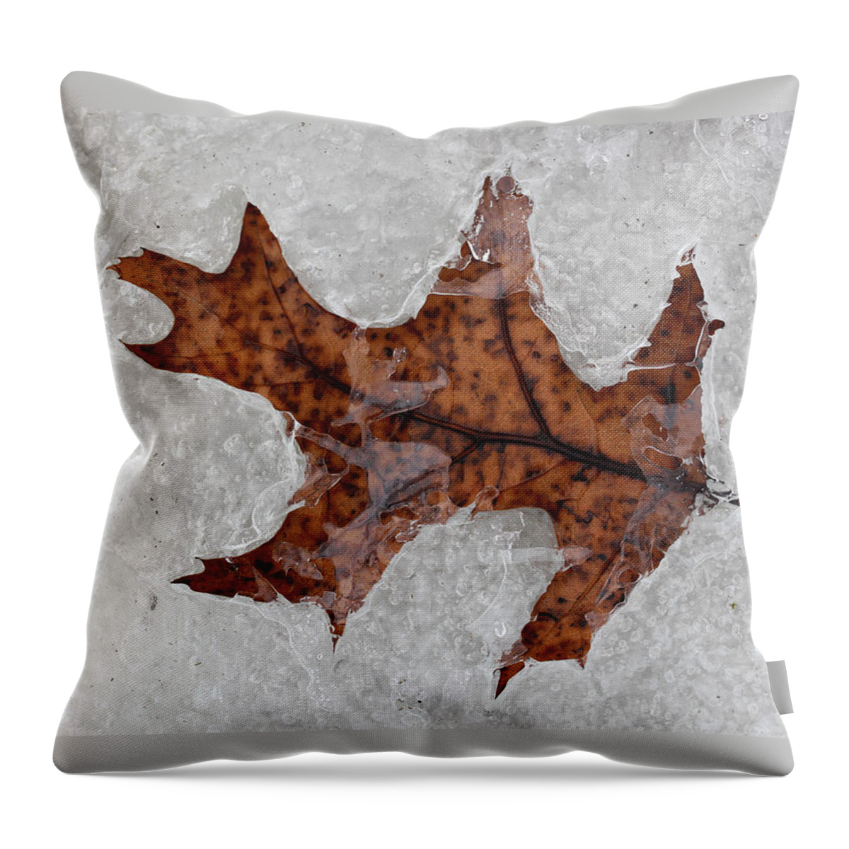 Leaf Throw Pillow featuring the photograph Waiting to be Free 3 by Mary Bedy