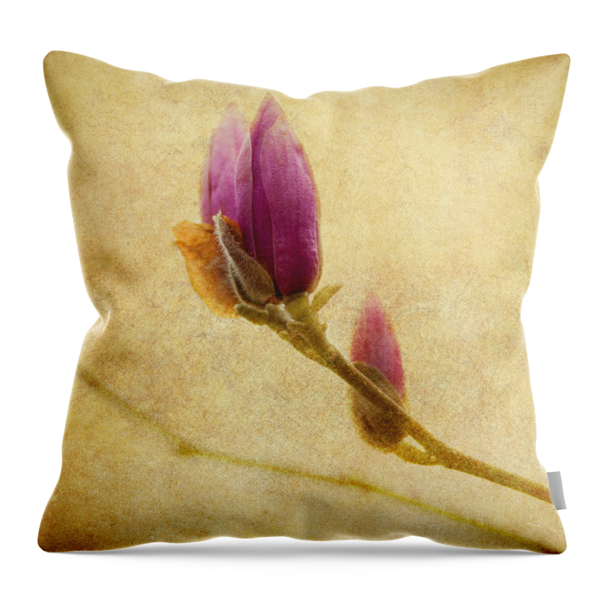 Japanese Magnolia Throw Pillow featuring the photograph Waiting to Bloom by Jeff Mize
