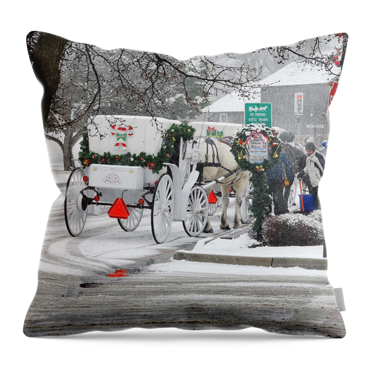 Wintery Scenery Throw Pillow featuring the photograph Waiting To Give A Ride by Janice Adomeit
