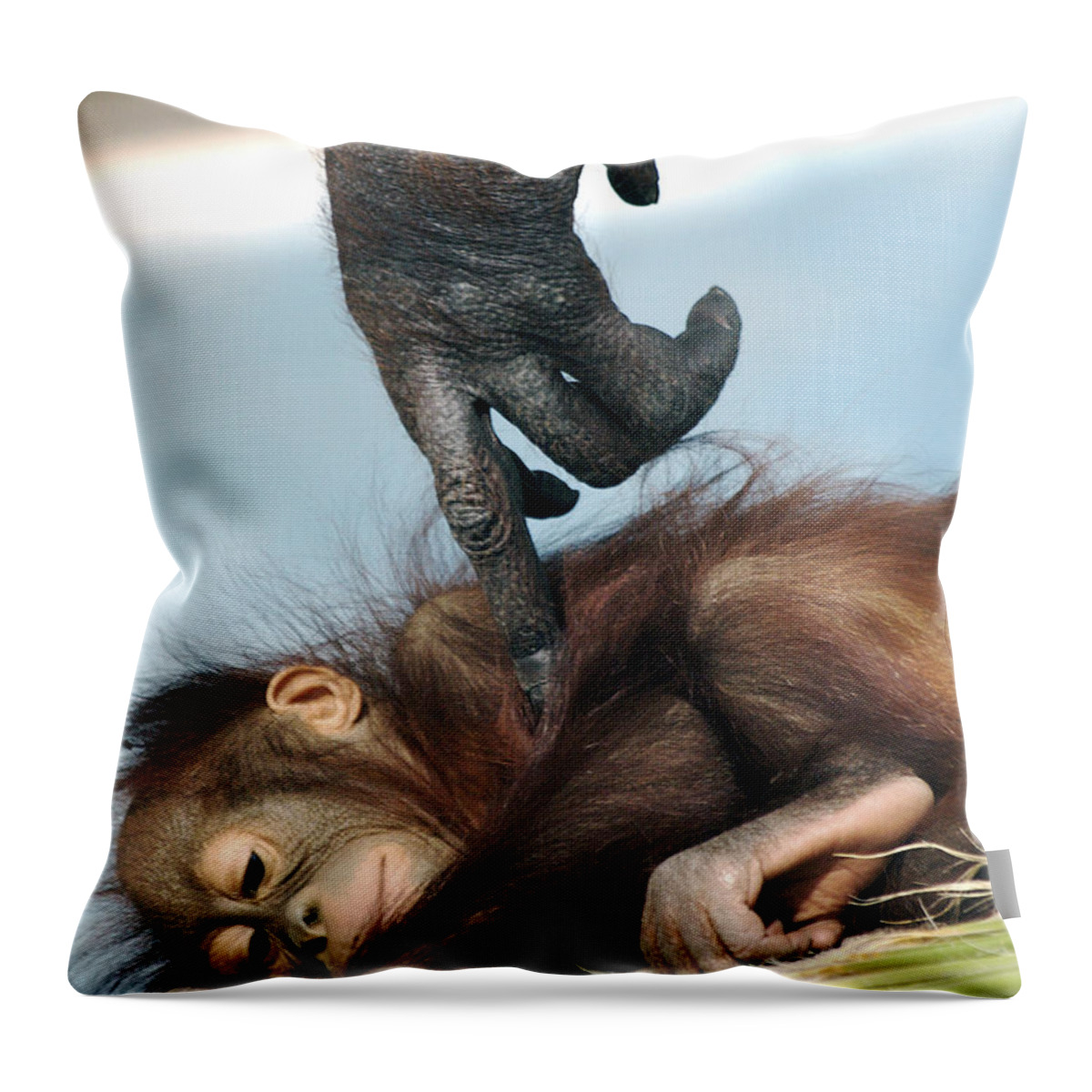 Orangutan Throw Pillow featuring the photograph Wakeup Little One by Sue Cullumber