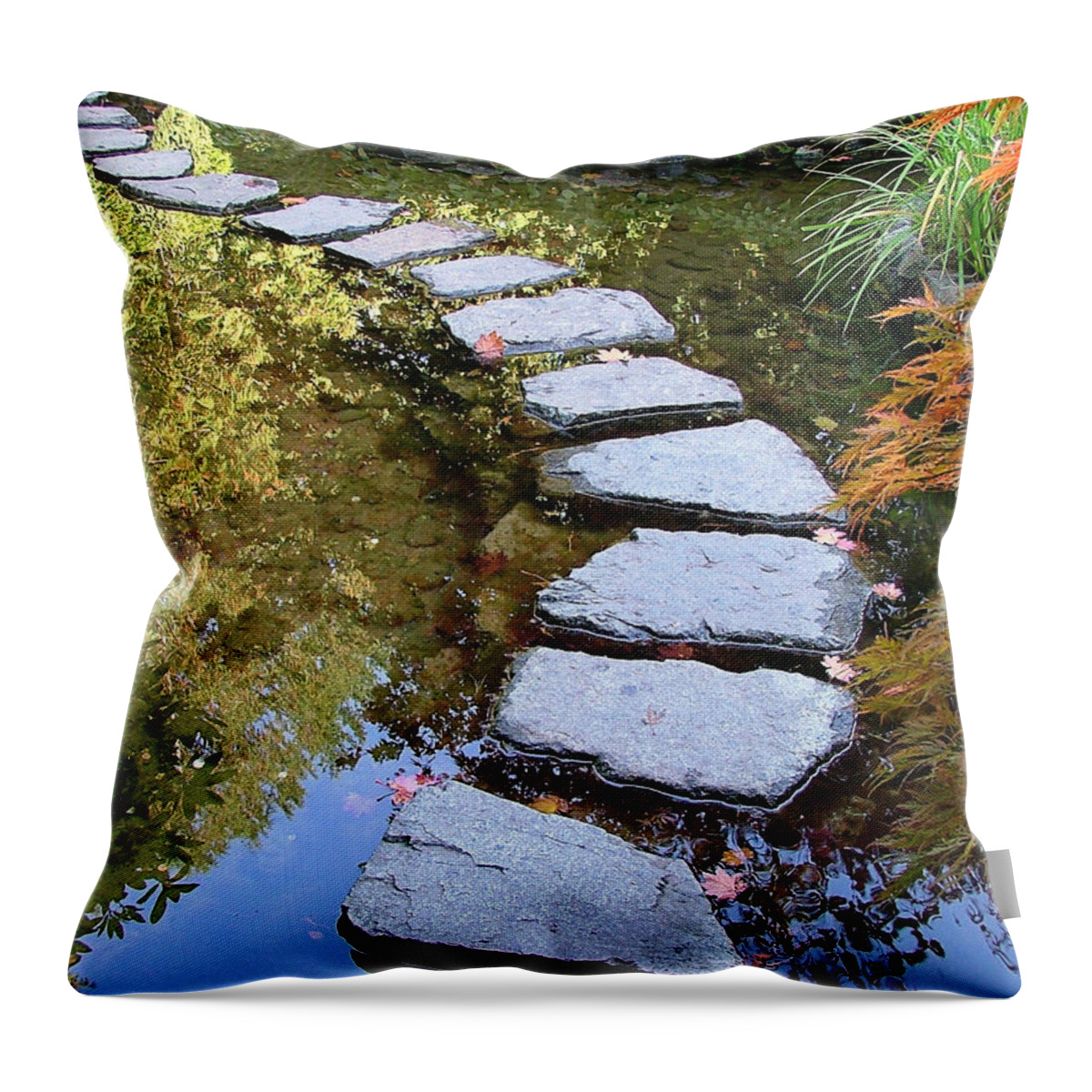 Ponds Throw Pillow featuring the photograph Walk On Water by Wendy McKennon