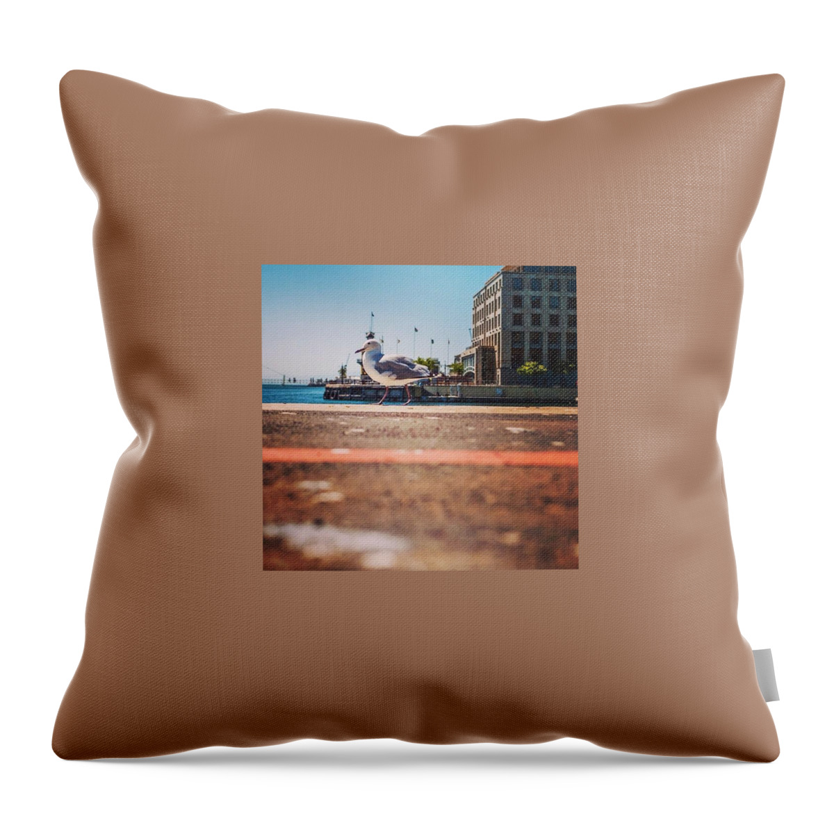 Southafrica Throw Pillow featuring the photograph Walk The Line by Aleck Cartwright