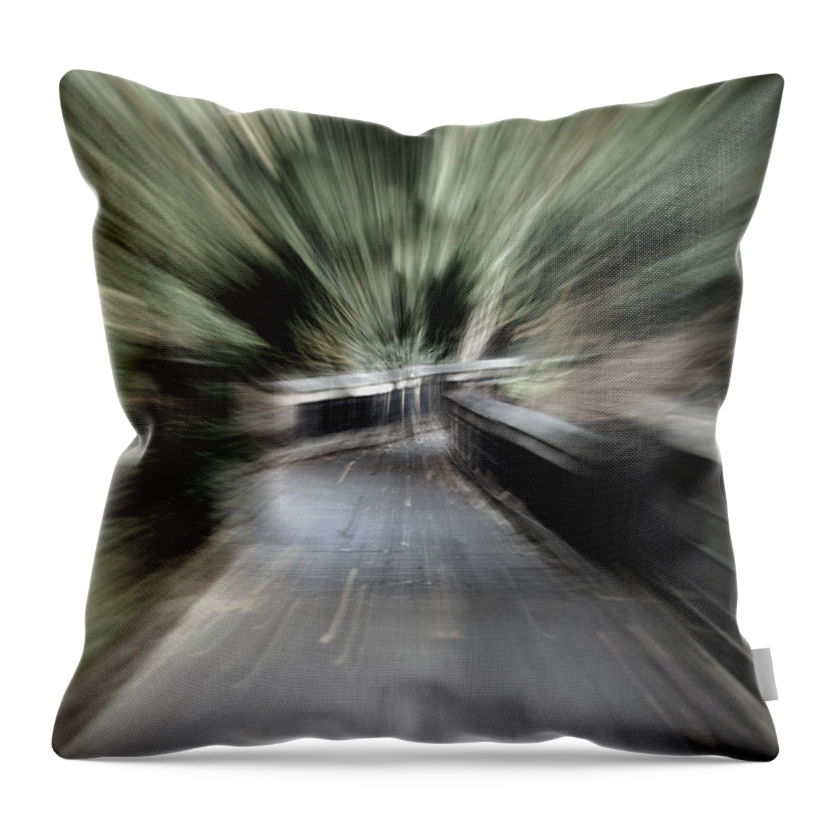 Nature Throw Pillow featuring the photograph Walk Warp by Skip Willits