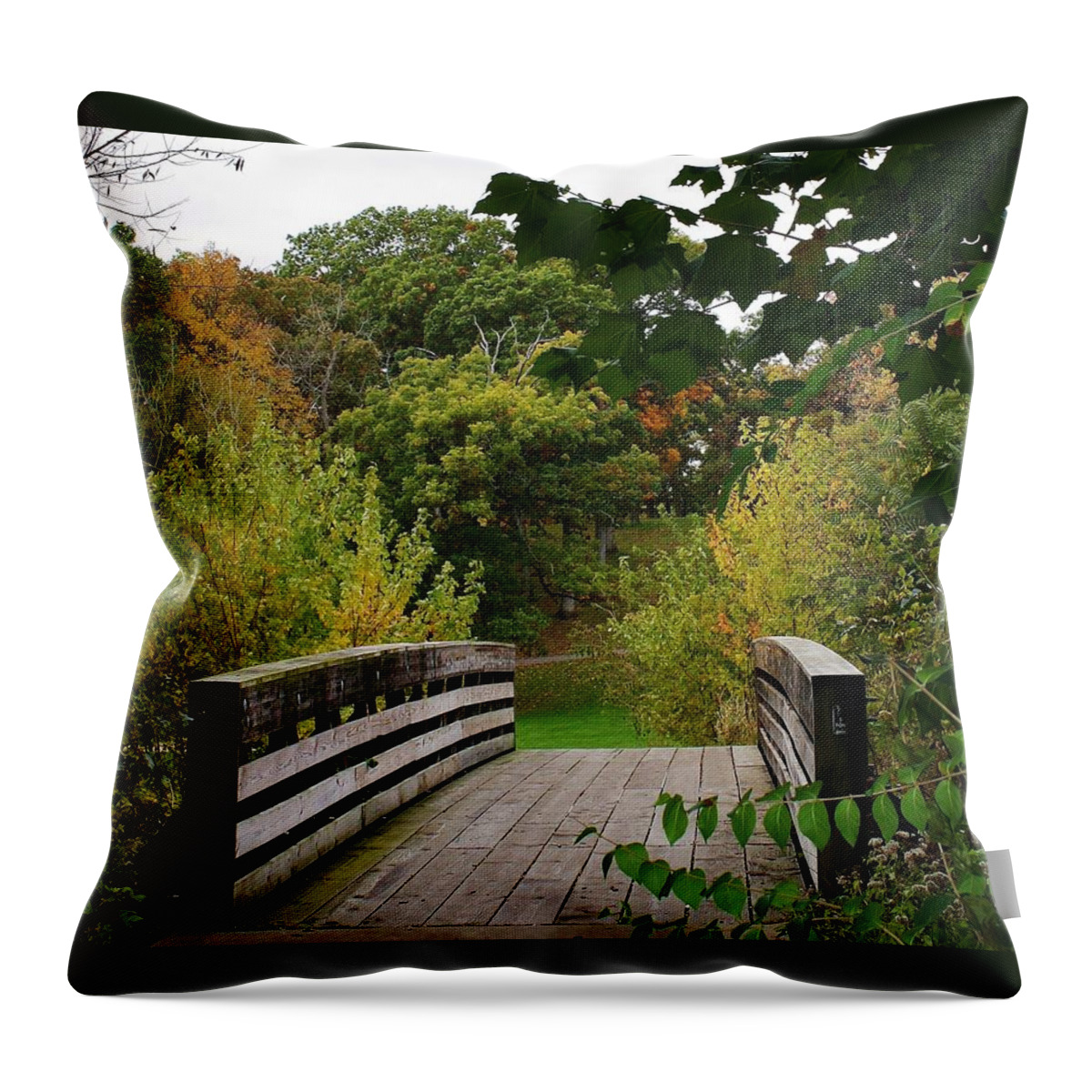 Woodland Throw Pillow featuring the photograph Walking Bridge by Bruce Bley