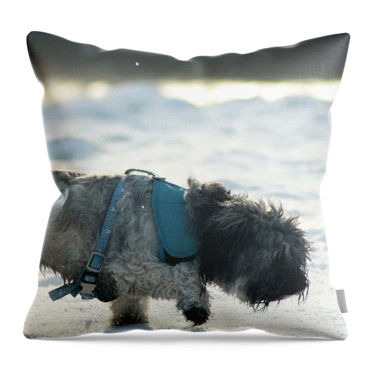 Dog Throw Pillow featuring the photograph Walking in the snow by Patricia De jong