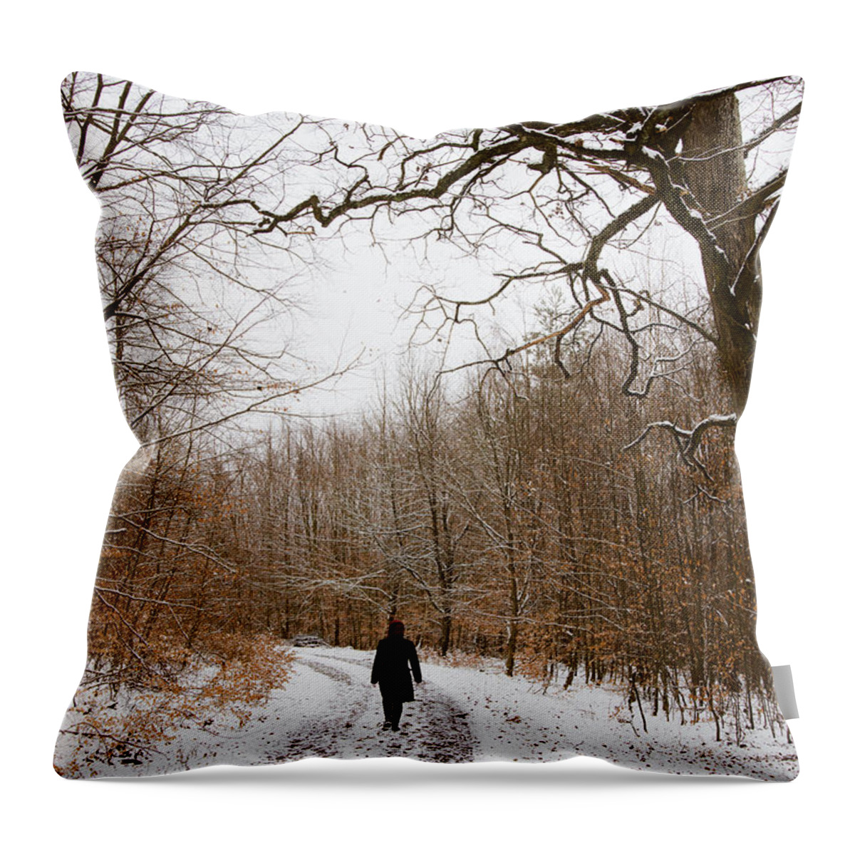 Winter Throw Pillow featuring the photograph Walking in the winterly woodland by Matthias Hauser