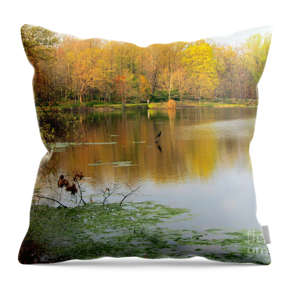  America Throw Pillow featuring the photograph Walking on a Fall Day by Avis Noelle