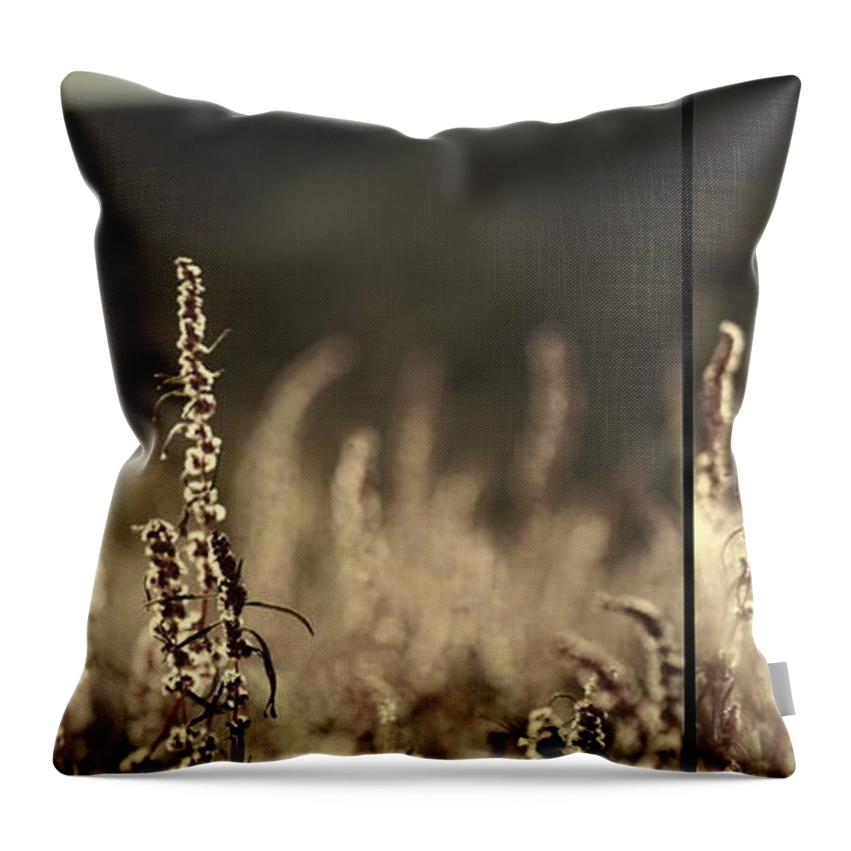 Walking Throw Pillow featuring the photograph Walking On Wind by Mark Ross