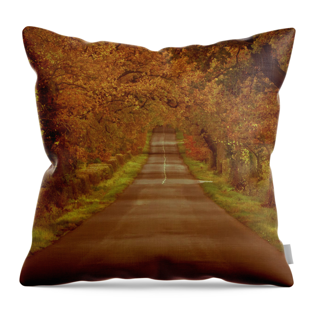 Scenics Throw Pillow featuring the photograph Walking The Autumnal Road by A Photo By Fletche