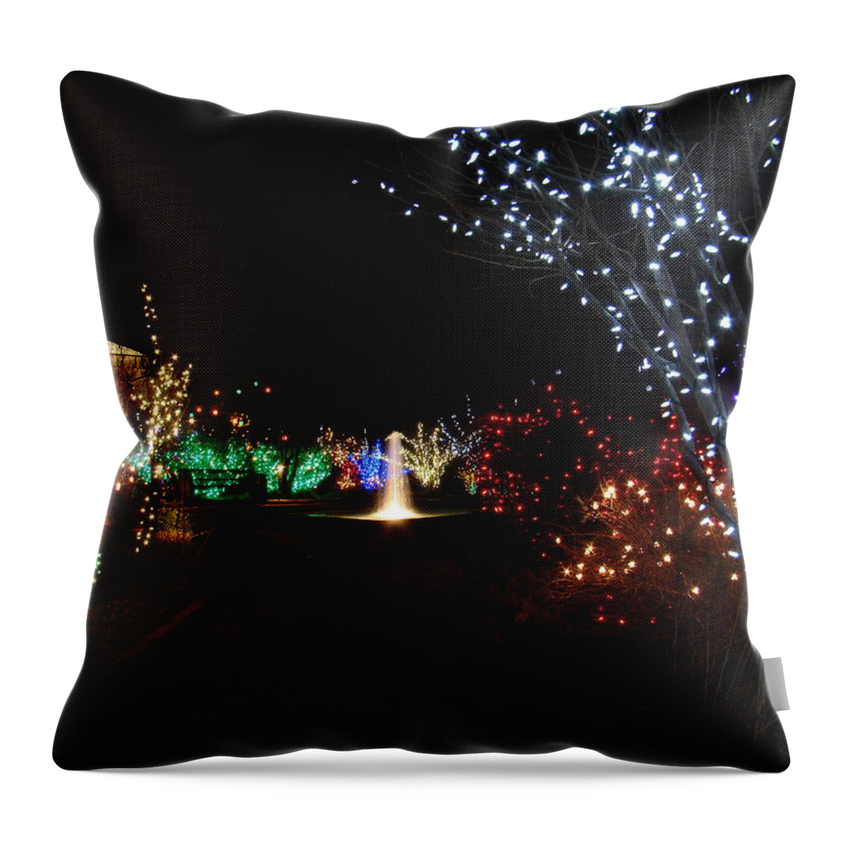 Fine Art Throw Pillow featuring the photograph Walking Toward a Spectrum of Delight by Rodney Lee Williams