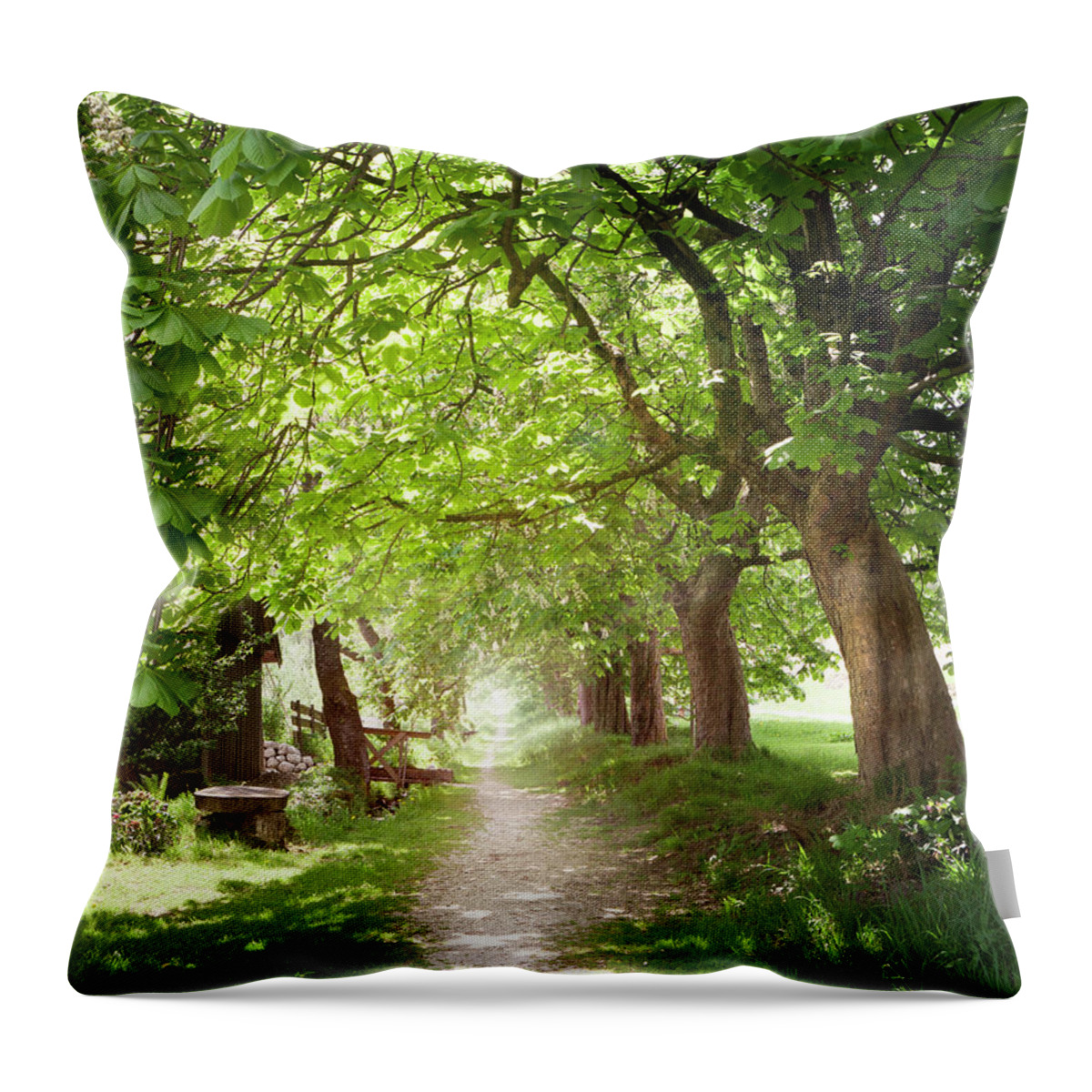 Avenue Throw Pillow featuring the photograph Walking Under Chestnut Trees In by Lorenzo104