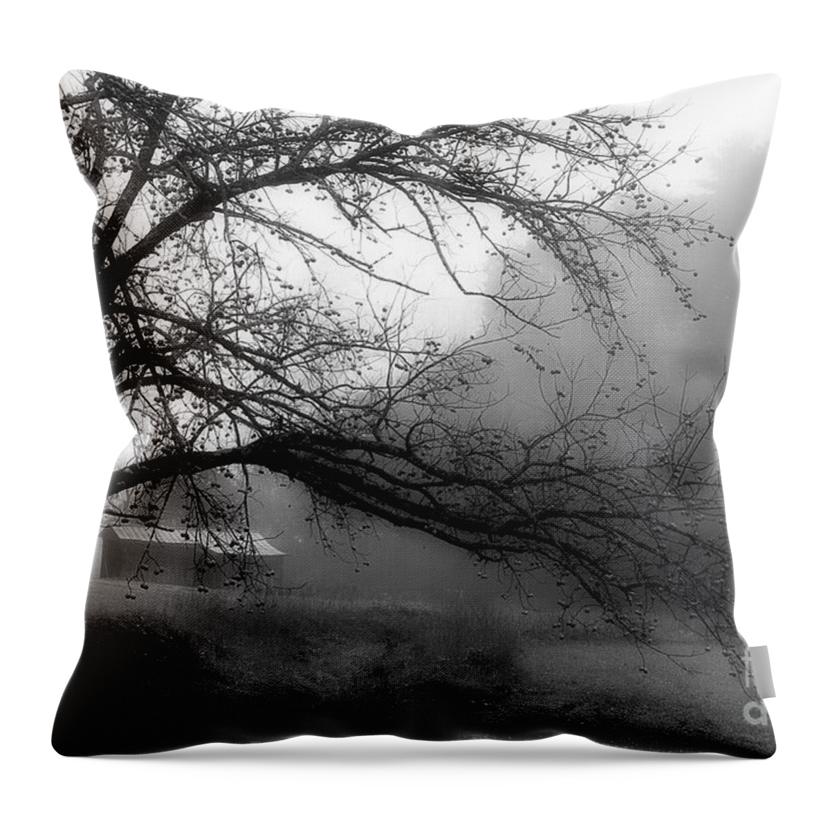 Walnut Tree Throw Pillow featuring the photograph Walnut Tree Along The Creek by Michael Eingle