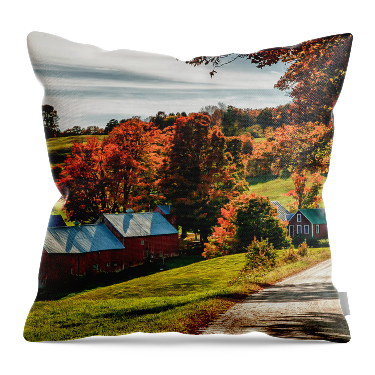  Jenne Farm Throw Pillow featuring the photograph Wandering Down The Road by Jeff Folger