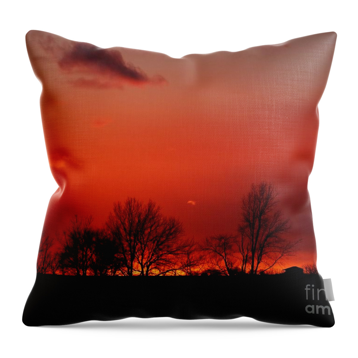 Sunset Prints Throw Pillow featuring the photograph Warm January Sunset by J L Zarek