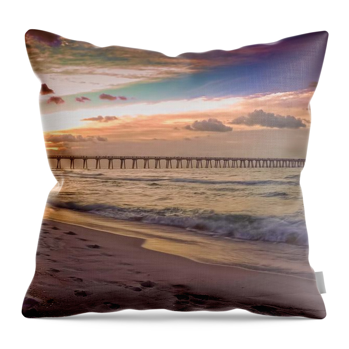 Navarre Throw Pillow featuring the photograph Warm Thoughts on a Winter's Day by Renee Hardison