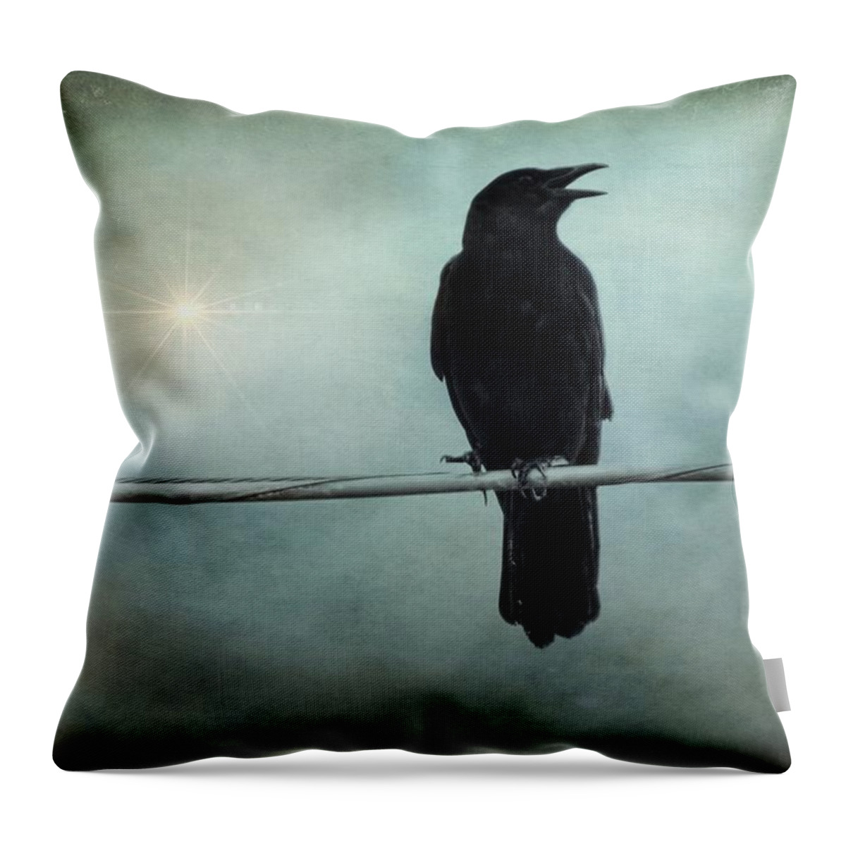 Crow Throw Pillow featuring the photograph Warning Call by Melissa Bittinger