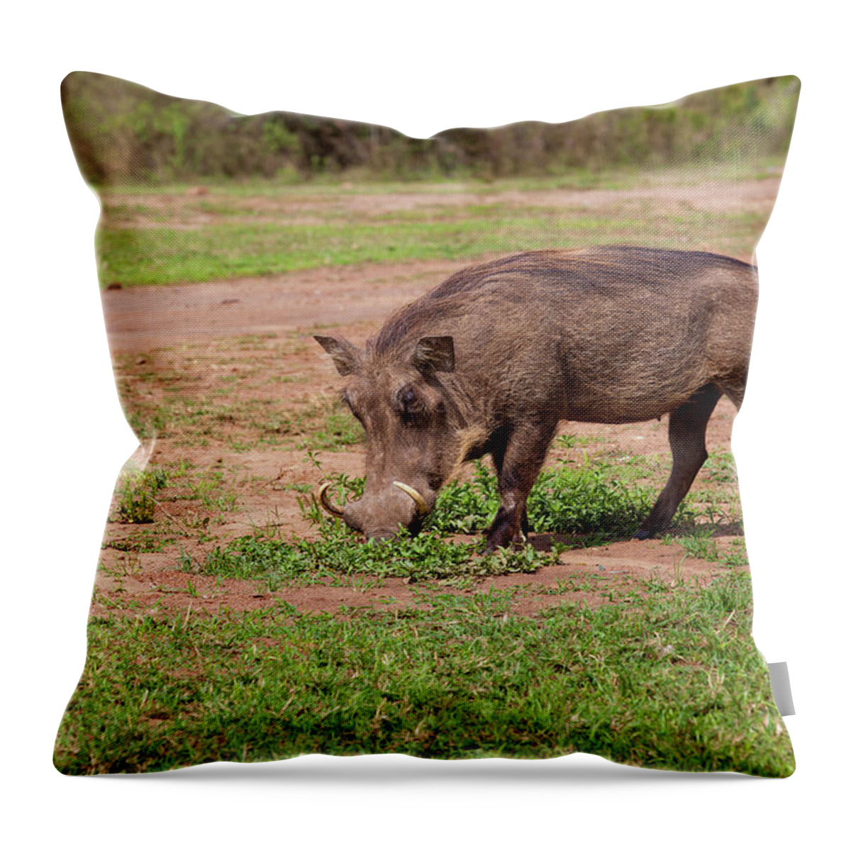 Pig Throw Pillow featuring the photograph Warthog At Lake Mburo National Park by 1001slide