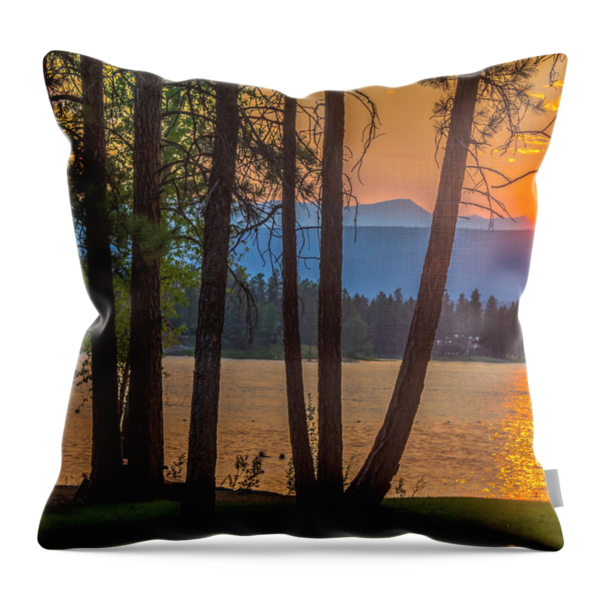 Wasa Lake Throw Pillow featuring the photograph Wasa by Thomas Nay