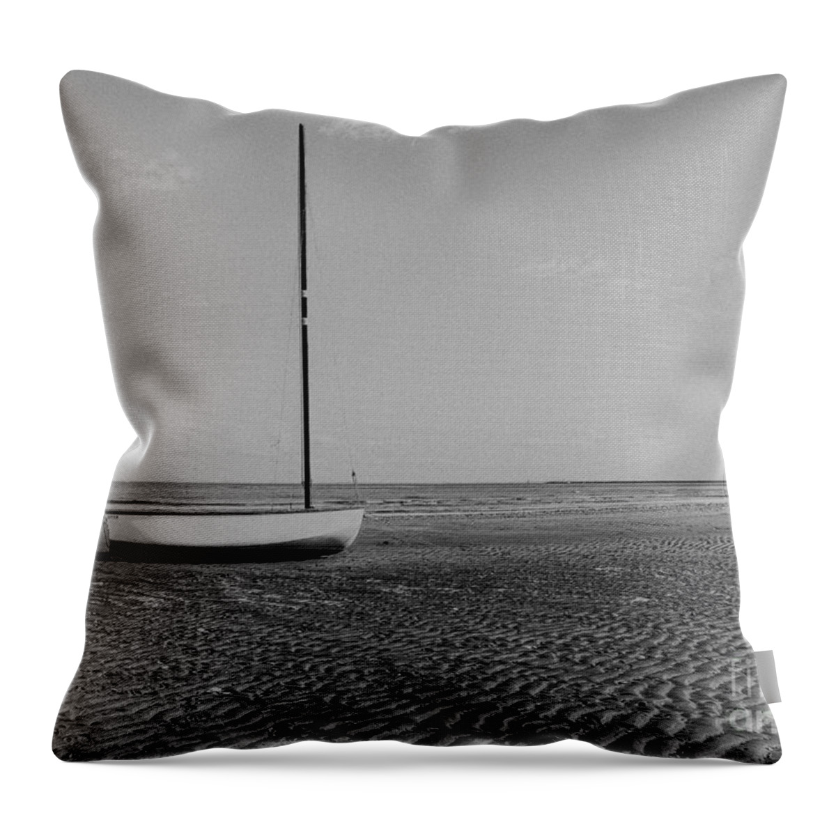 Beach Throw Pillow featuring the photograph Washed Ashore 2 by Rick Kuperberg Sr