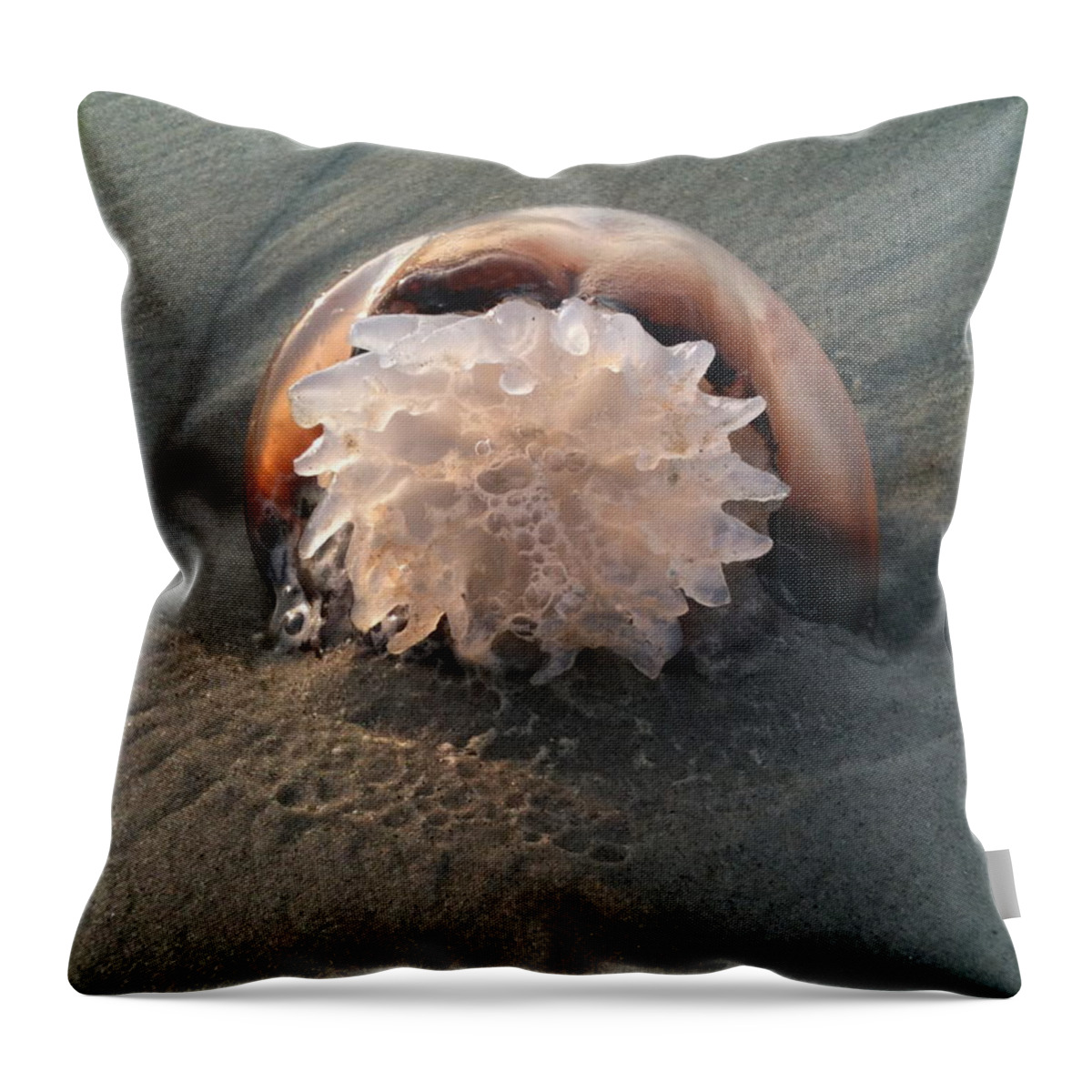 Shells Throw Pillow featuring the photograph Washed Up by M West