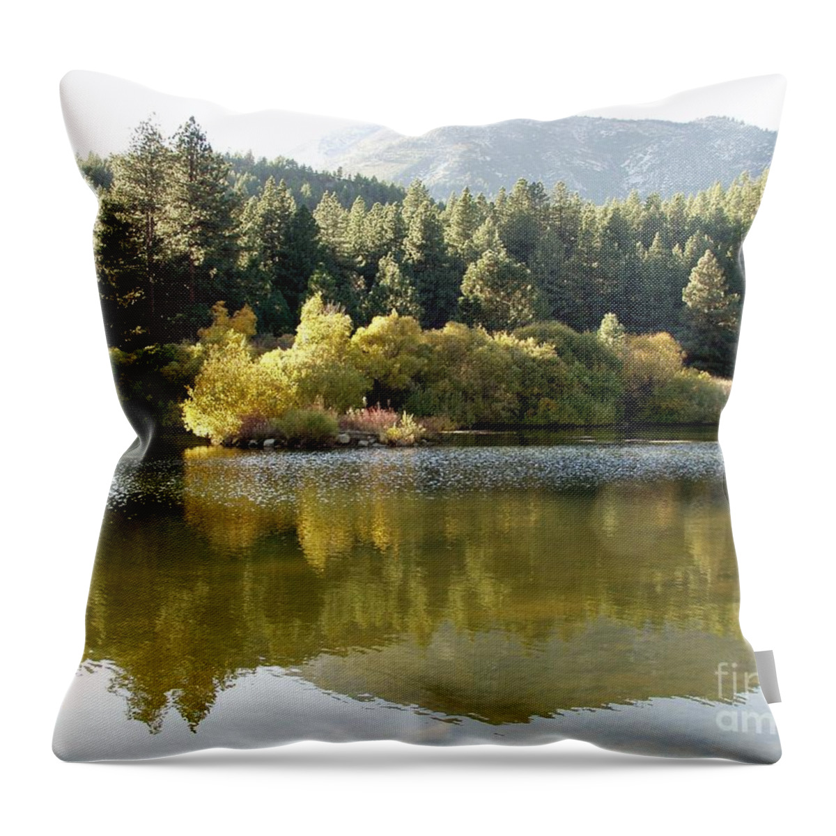 Nature Throw Pillow featuring the photograph Washoe Valley by Carol Sweetwood