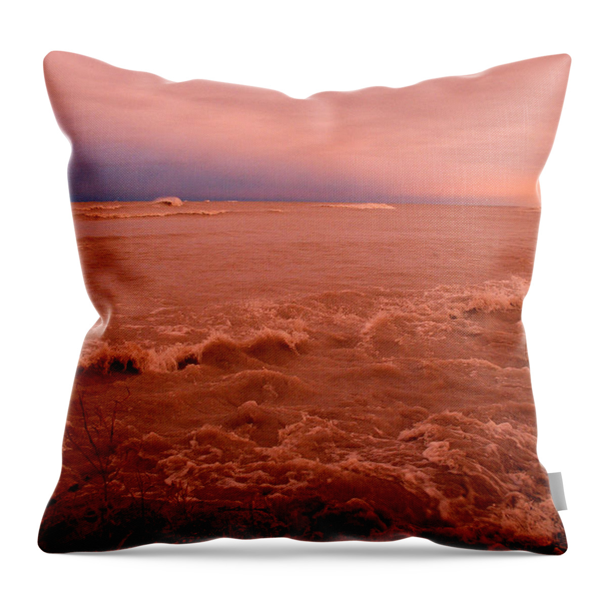 Wind Point Throw Pillow featuring the photograph Watch Out For The Wave by Janice Adomeit