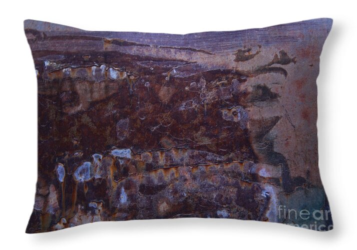 Abstract Art Throw Pillow featuring the photograph Watcher of the Universe Abstract by Lee Craig